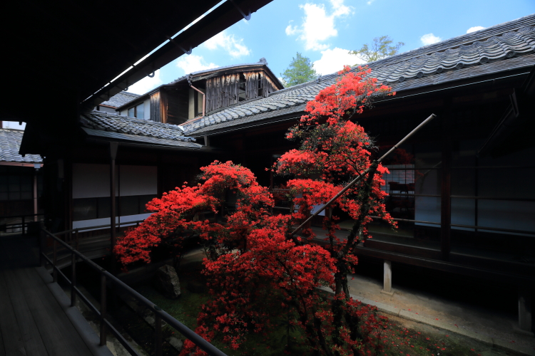 大心院（妙心寺塔頭）_e0051888_642936.jpg