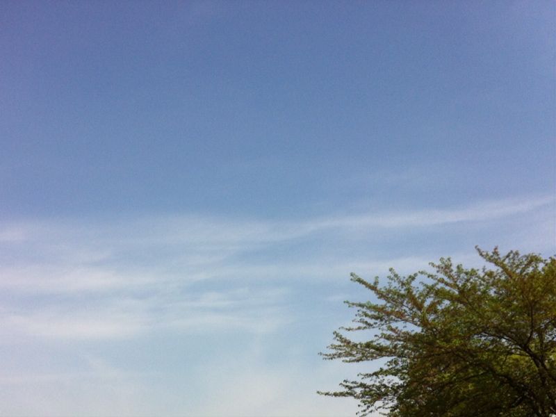 d0135694_0311292.jpg