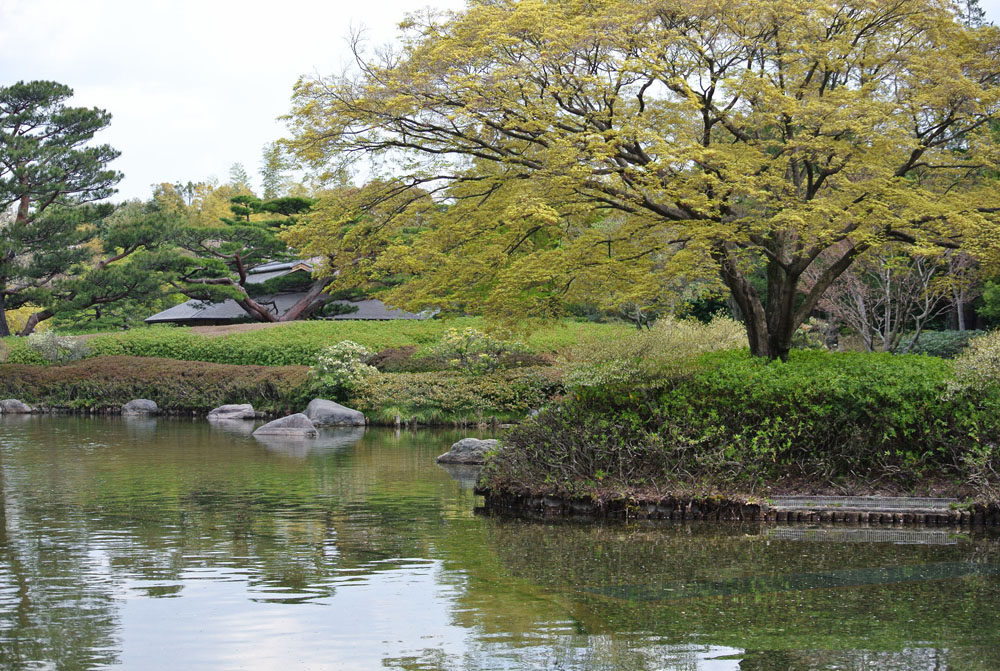 昭和記念公園 春_b0144301_11301685.jpg