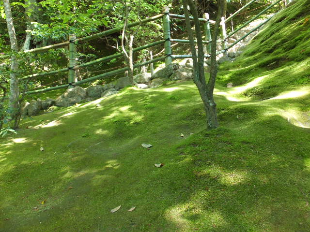 a0271502_1134535.jpg