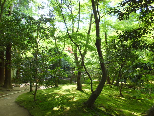 京都　東山　～銀閣寺～_a0271502_11383173.jpg