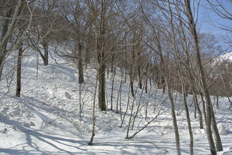 2014年3月29-30日 雪の谷川岳を楽しむ.虹芝寮で_c0242406_1682175.jpg