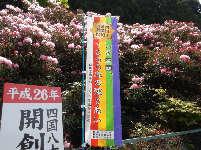 横峰寺と石楠花と初夏に咲く花・・・2014・5・9_f0231709_2117429.jpg