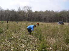c0173813_22493648.jpg