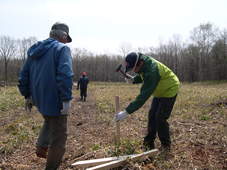 c0173813_22505365.jpg