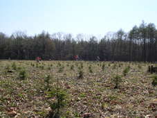c0173813_23004440.jpg