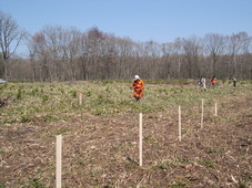 c0173813_23030956.jpg