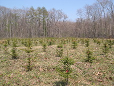 c0173813_23143223.jpg