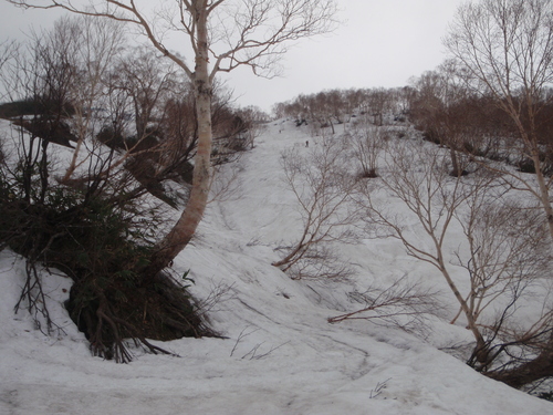 白山・・やっぱし良いわぁ～です_c0223019_11131491.jpg