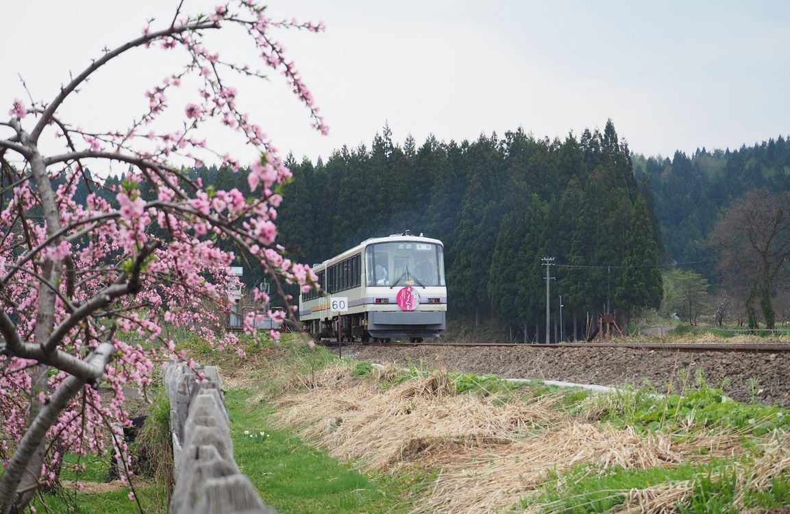 秋田内陸縦貫鉄道を撮る・・・２０１４年春の東北紀行（その７）_a0031821_12165545.jpg