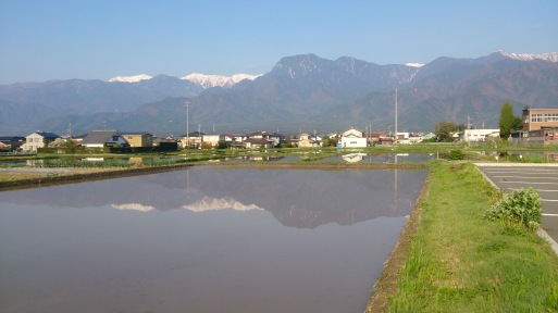 春だけの風景・・_d0168027_17313440.jpg