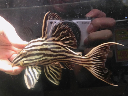 f0304633_2020126.jpg