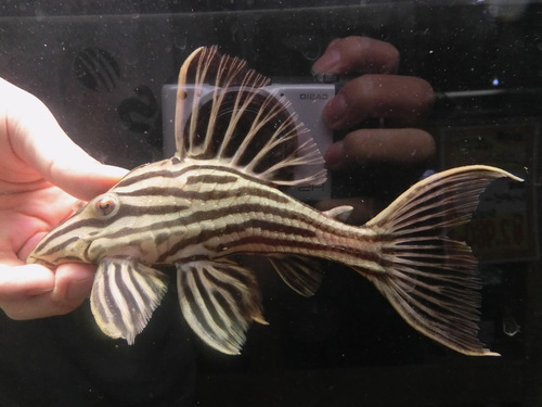 f0304633_20201463.jpg