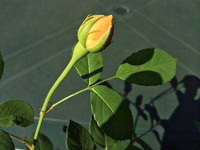 f0327534_9225121.jpg