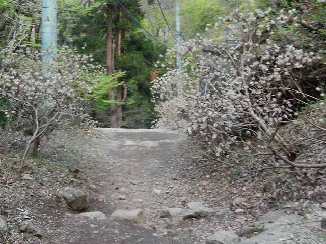 a0048040_17154091.jpg
