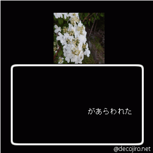 f0031546_1443191.gif