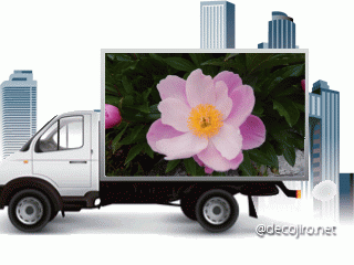 f0031546_14441694.gif
