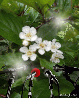 f0031546_14445318.gif