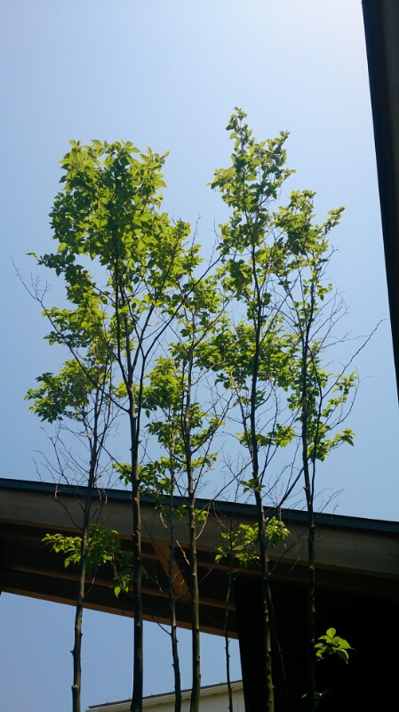 f0341250_14447100.jpg