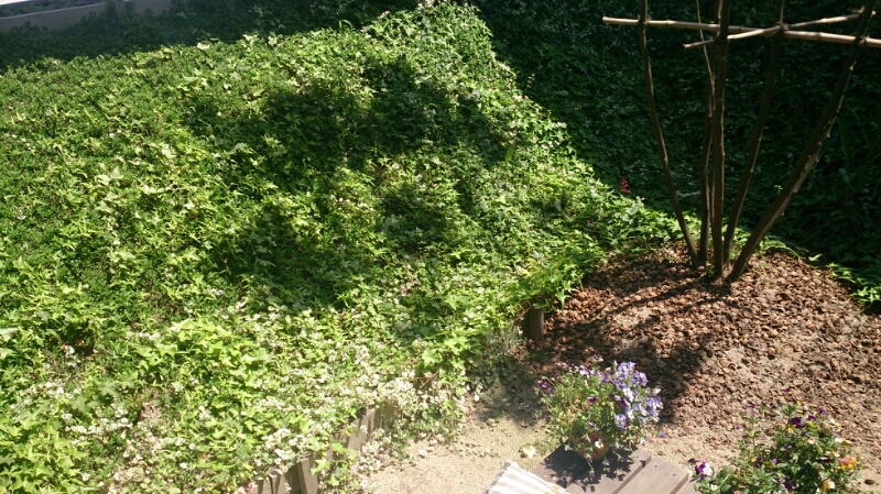 f0341250_1452420.jpg
