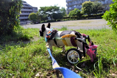 車椅子改造計画失敗か！？_b0307951_23481344.jpg