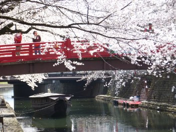 2014年の大垣の桜－２_f0197754_20205555.jpg