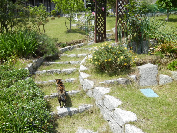 ’14,5,10(土)監視つきお散歩!_f0060461_11534692.jpg