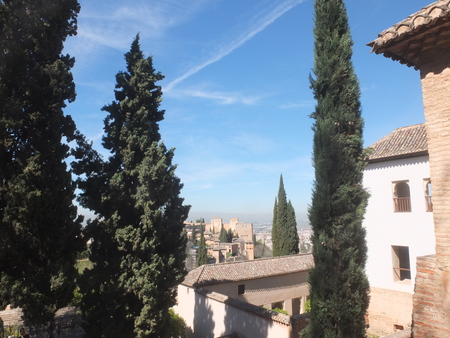 d0193569_10121165.jpg