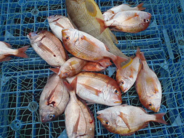 いまりマリーナ春の釣り大会♪_a0077071_11393069.jpg