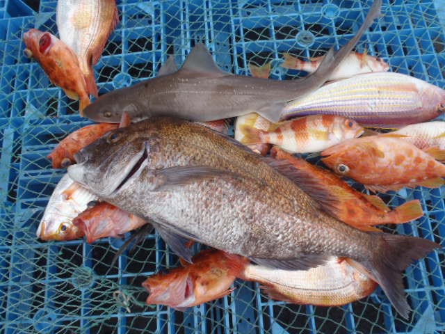いまりマリーナ春の釣り大会♪_a0077071_11402675.jpg