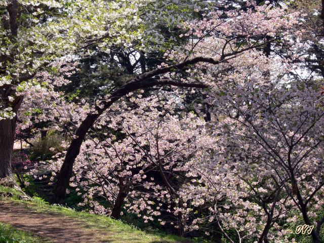 思い出の風景『月琴堀』_f0166871_82979.jpg