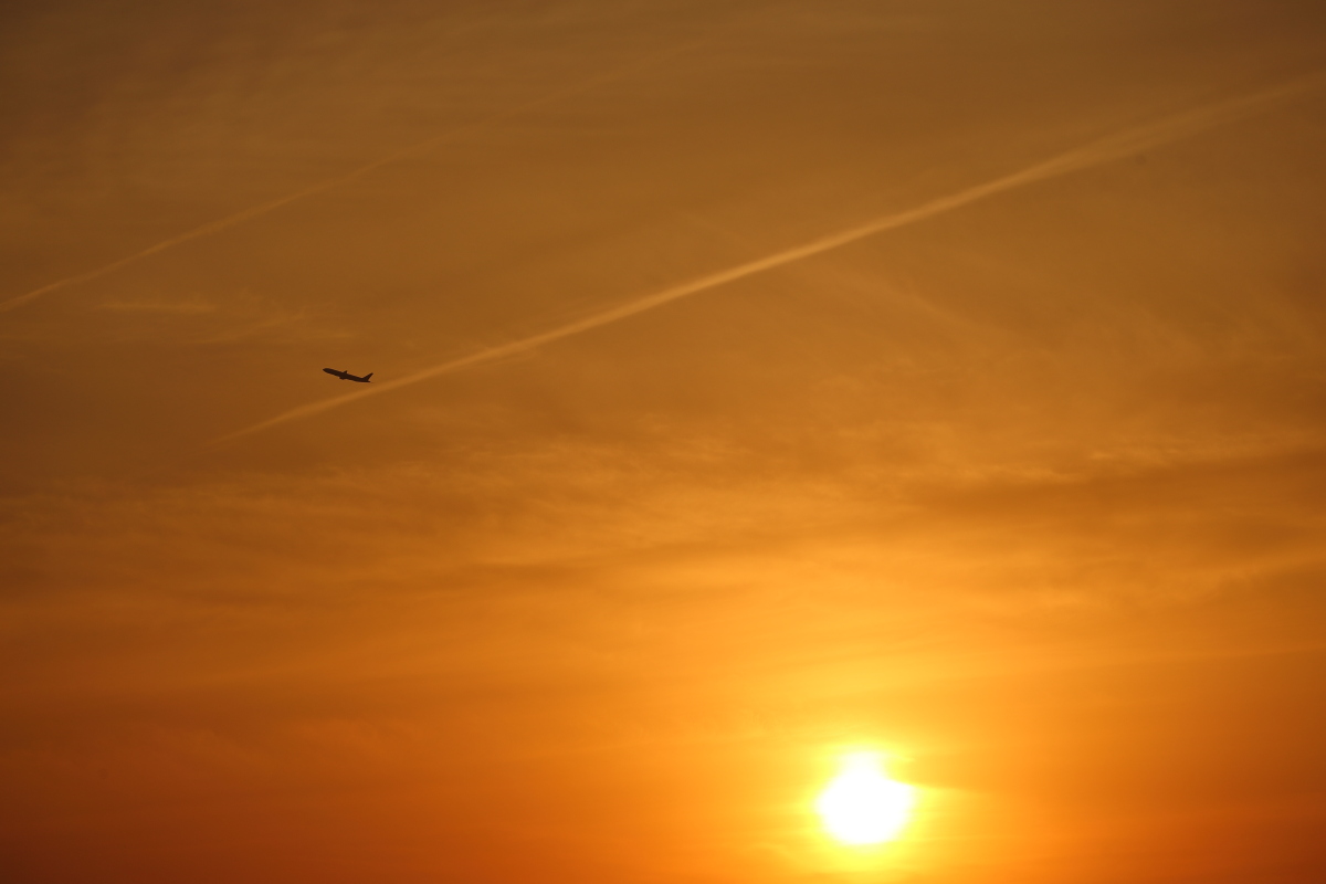 綺麗に焼けた空！_a0117972_205157.jpg