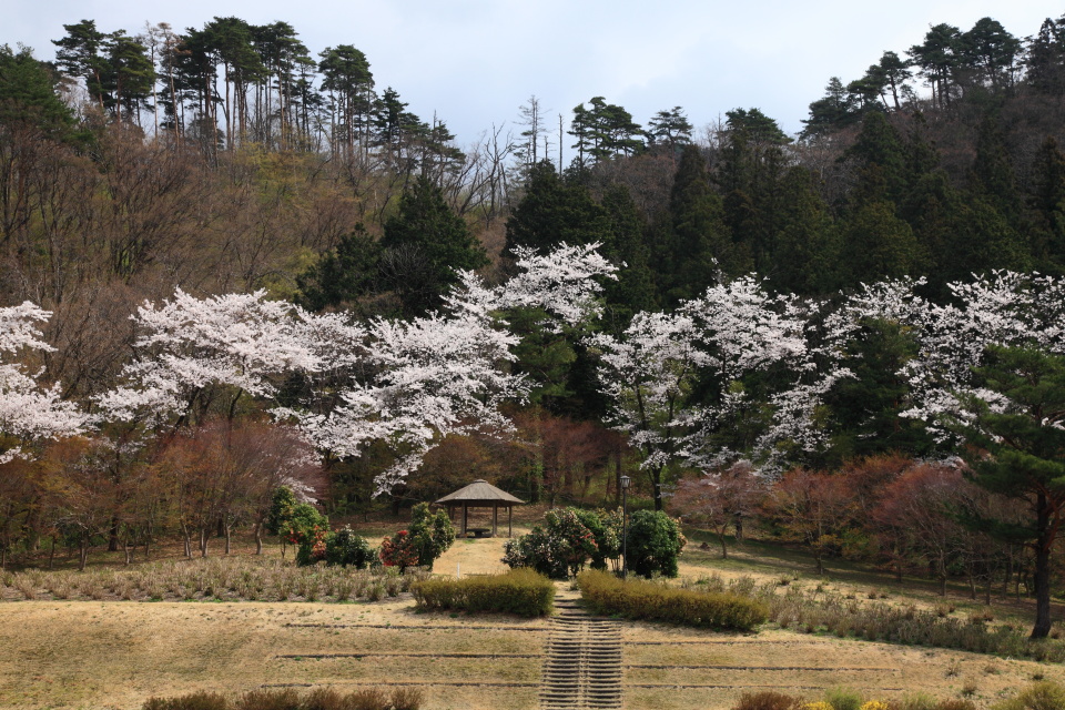 丸山大橋公園_e0096372_16175471.jpg