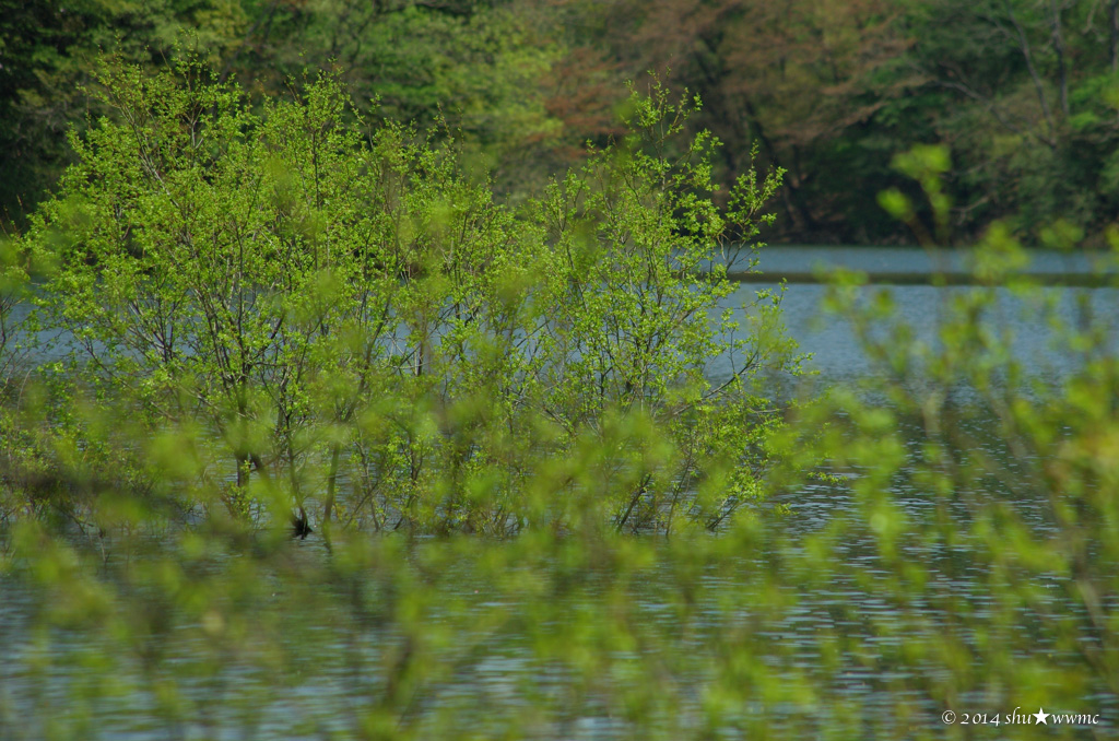 a0142976_17542734.jpg