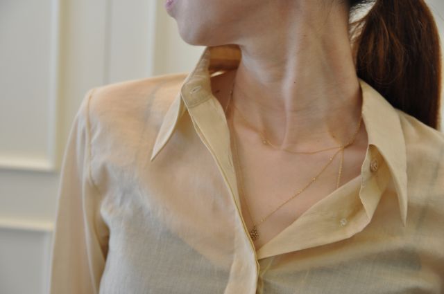 シャンパンゴールドのシャツ DRIES VAN NOTEN._b0110586_19533429.jpg