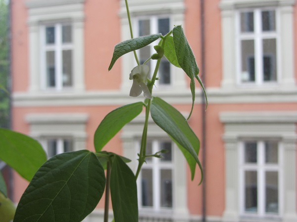 d0182292_04431427.jpg