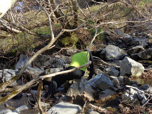 c0147398_18432832.jpg