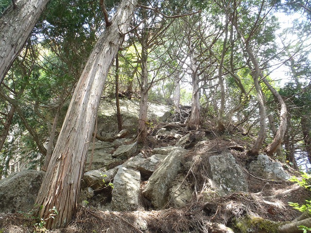 c0147398_1903054.jpg