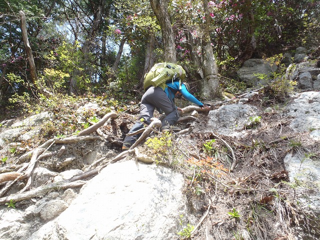 c0147398_1904272.jpg