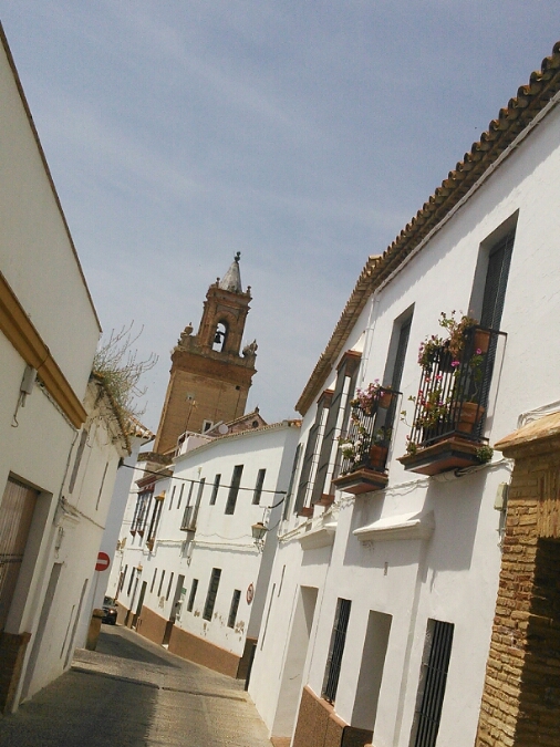 c0212604_4495282.jpg