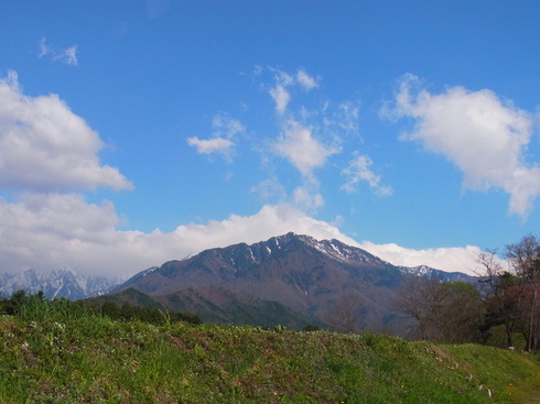 長野   　　　　             ヒメギフチョウ他2014/05/10①_d0251807_18493194.jpg