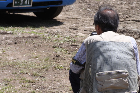 長野   　　　　             ヒメギフチョウ他2014/05/10①_d0251807_18541963.jpg