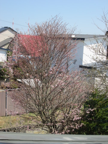 b0292308_15564780.jpg