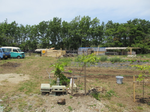 e0036108_11185702.jpg