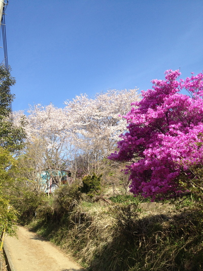 陣場から高尾山①_e0239908_22163344.jpg