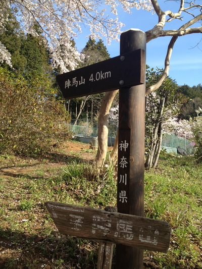 陣場から高尾山①_e0239908_22174892.jpg