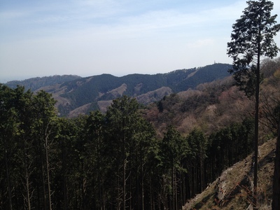 陣場から高尾山③_e0239908_2385329.jpg