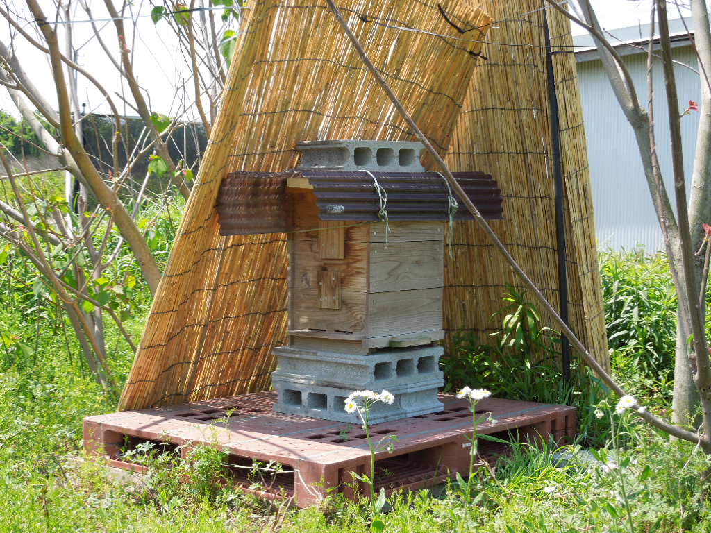 「待ち箱 2014」_a0120513_19284398.jpg