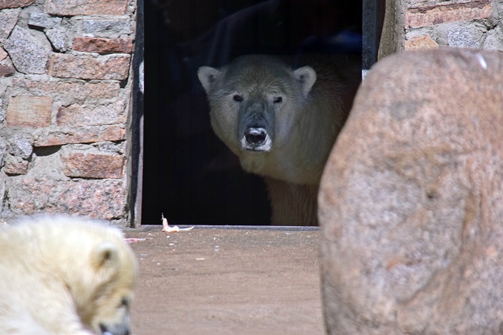 a0151913_16575444.jpg
