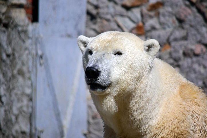 a0151913_21555663.jpg